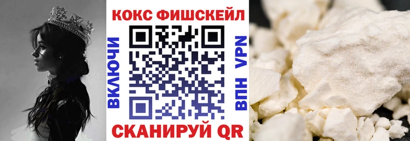 цены Камышин ссылка на мегу зеркало Cocaine Fish Scale