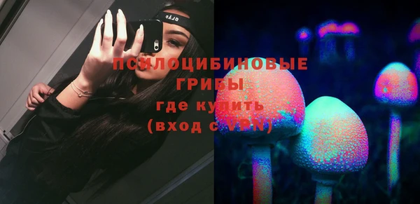 шишки Алексеевка