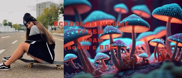 шишки Алексеевка