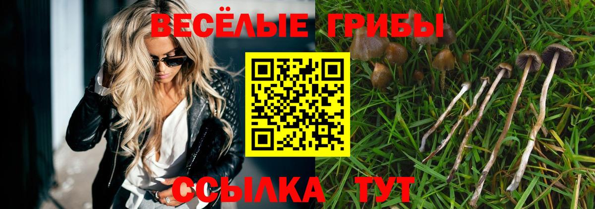 Псилоцибиновые грибы мицелий  Вход с VPN  Камышин 