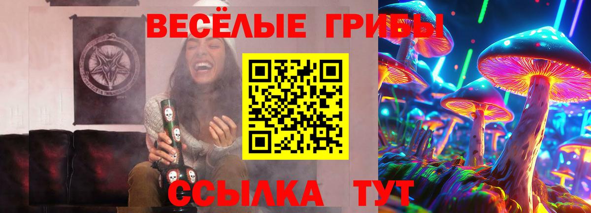 Галлюциногенные грибы Cubensis Камышин