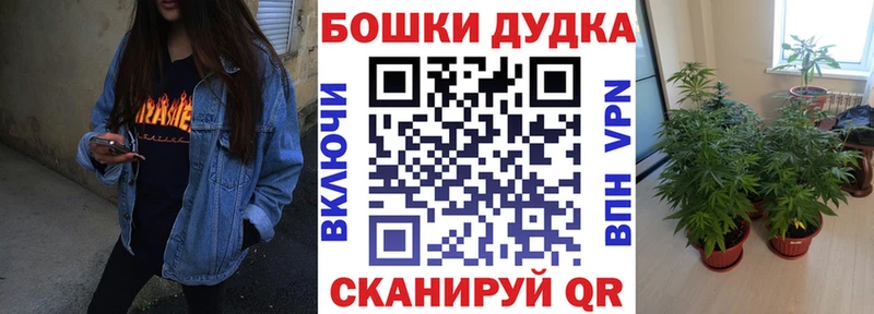 даркнет сайт  Камышин  Шишки марихуана гибрид 